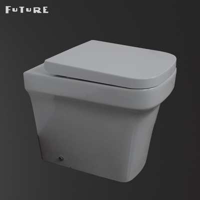 Antibacteriële Compact terug naar Muurtoilet