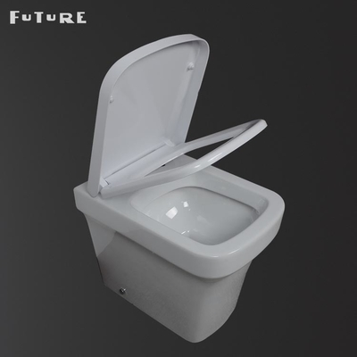 Antibacteriële Compact terug naar Muurtoilet