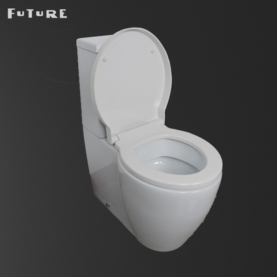 Het automatische Toilet van het het Watercloset Dichte Gekoppelde Bidet van de Desodorisatievilla Tweedelige
