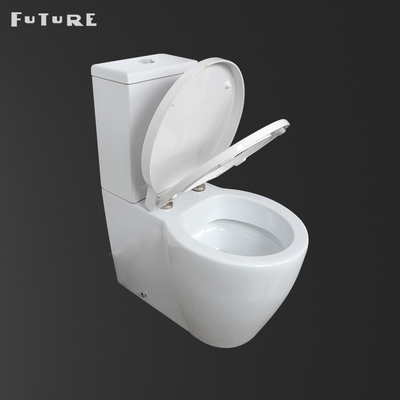 Het automatische Toilet van het het Watercloset Dichte Gekoppelde Bidet van de Desodorisatievilla Tweedelige