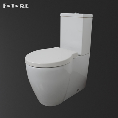 Het automatische Toilet van het het Watercloset Dichte Gekoppelde Bidet van de Desodorisatievilla Tweedelige