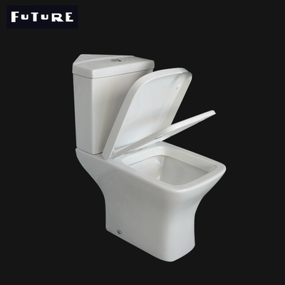Washdown die Ideale Standaard Ruimte de Hoekladenkast spoelen van het Hoektoilet