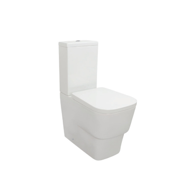 Dubbele Gelijke 3L 6L de Vloer Bevindende Washdown van het 2 stukkentoilet WC Vriendschappelijke Eco